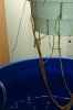 IMAG0144.jpg