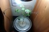 IMAG0146.jpg