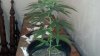 2012-07-11_16-27-12_782.jpg
