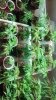 2012-05-26_08-36-28_169.jpg
