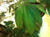 WP_000380.jpg
