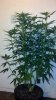 2012-07-13_23-43-13_616.jpg