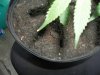 100_0103.jpg