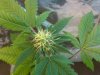 IMG-20120714-00208.jpg