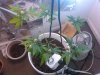 IMG-20120714-00209.jpg