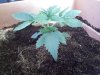 20120716_185341.jpg 20120716_185341.jpg