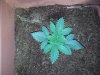 20120716_185556.jpg 20120716_185556.jpg