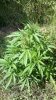 2012-07-11_16-01-14_886.jpg 2012-07-11_16-01-14_886.jpg