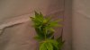 2012-07-17_16-31-37_33.jpg