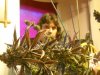 DSCN0519.jpg
