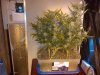 IMG-20120718-00162.jpg