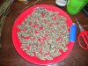 DSCN2663.jpg