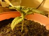 30042012995.jpg