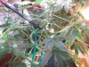 100_3719.jpg