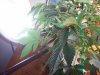 100_3720.jpg