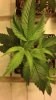 2012-07-18_21-18-11_693.jpg 2012-07-18_21-18-11_693.jpg
