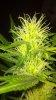 2012-07-19_11-24-47_773.jpg 2012-07-19_11-24-47_773.jpg