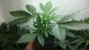 2012-07-19_03-17-38_292.jpg