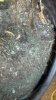 2012-07-20_18-35-38_723.jpg