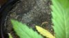 2012-07-20_18-35-52_69.jpg