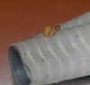 egg5.jpg