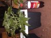 16052012027.jpg