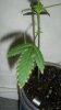 100_2626.jpg