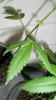100_2628.jpg