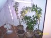 100_1057.JPG