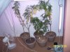 100_1058.JPG