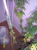 100_1064.JPG