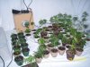 100_1070.JPG