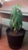 2012-07-22_14-02-44_133.jpg