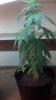 2012-07-22_14-02-51_231.jpg