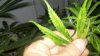 2012-07-23_17-53-36_173.jpg 2012-07-23_17-53-36_173.jpg