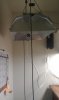 lightsecondview.jpg