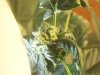 100_3739.jpg