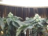 100_3742.jpg