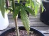 IMG_20120724_182452.jpg