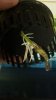 2012-07-24_20-57-30_423.jpg