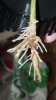 2012-07-24_20-57-52_367.jpg