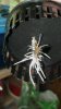 2012-07-24_20-58-21_417.jpg