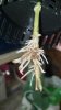 2012-07-24_20-58-48_434.jpg 2012-07-24_20-58-48_434.jpg