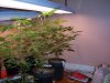 106_11171.jpg 106_11171.jpg