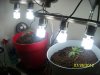 100_0263.jpg