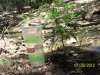 Secret Garden 6 008.jpg