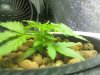 downsized_0727020855.jpg