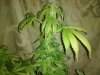 july 2012 048.jpg