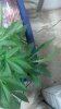 2012-07-27_18-07-19_96.jpg