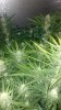 2012-07-27_18-10-12_228.jpg